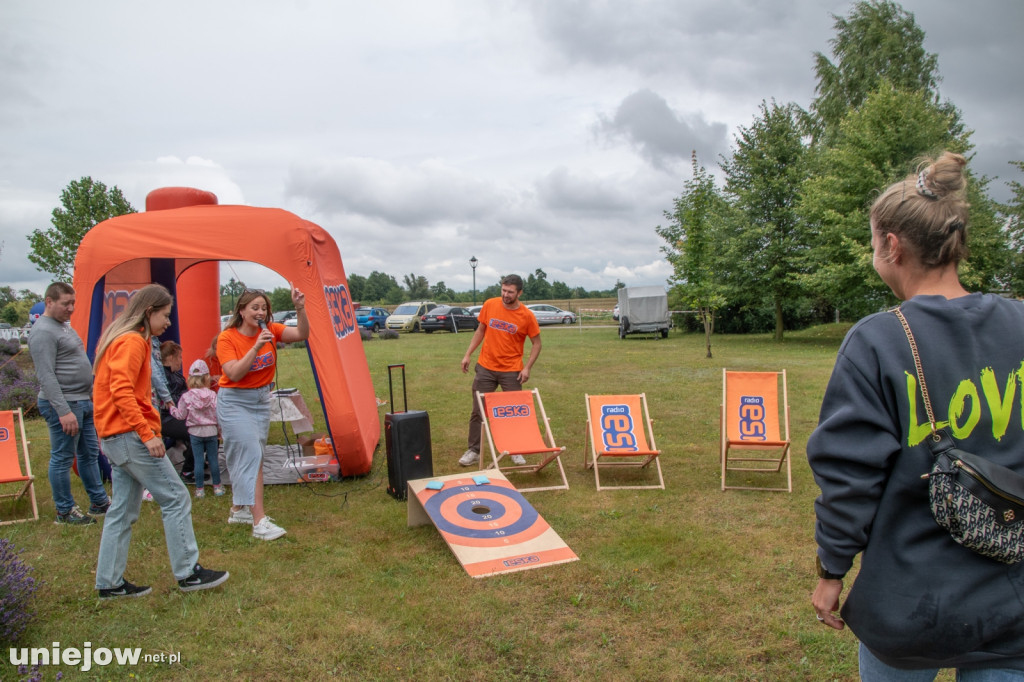 XII edycja Festiwalu Lawendy w Uniejowie