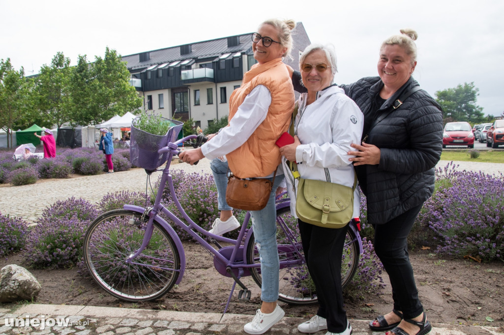 XII edycja Festiwalu Lawendy w Uniejowie