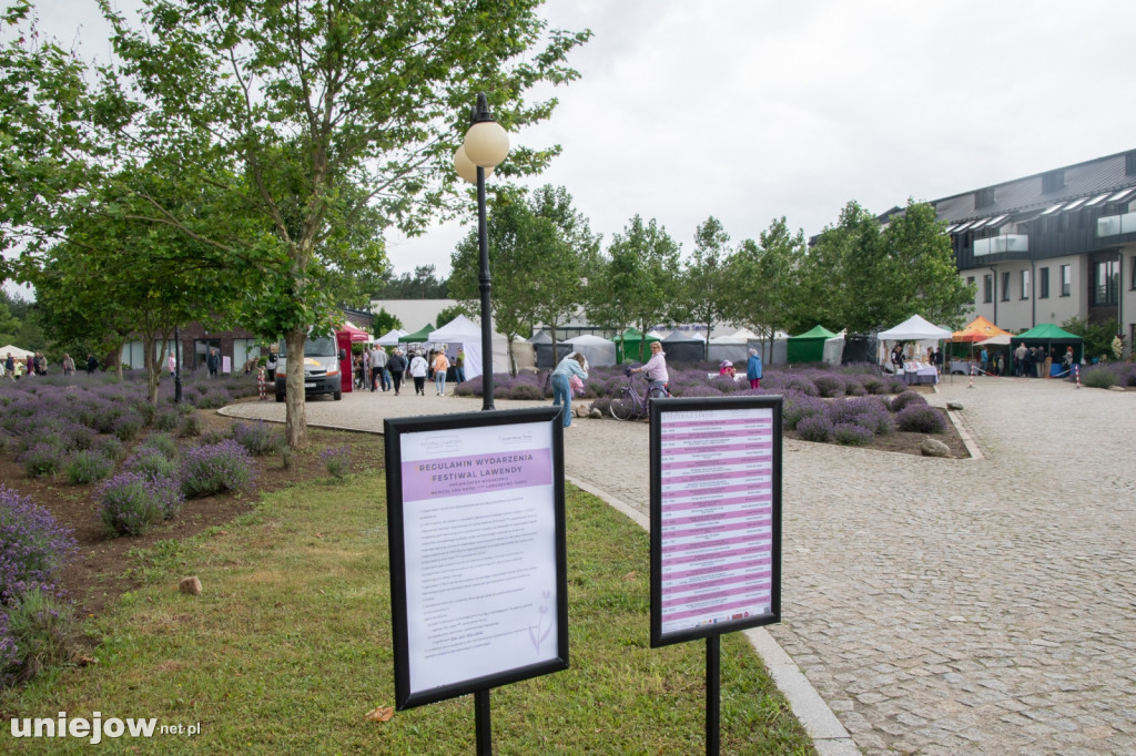 XII edycja Festiwalu Lawendy w Uniejowie