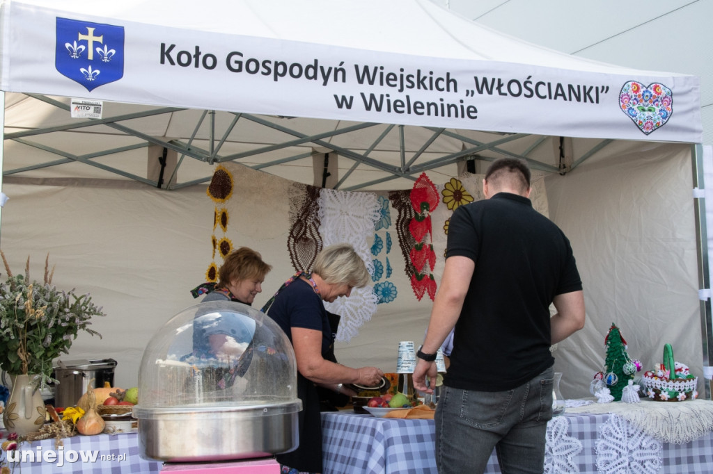 20-lecie firmy Majsterek i 4. urodziny Mrówki