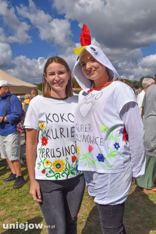 III Festiwal Drobiu trwa w Uniejowie. Degustacje, atrakcje i koncerty [FOTO]