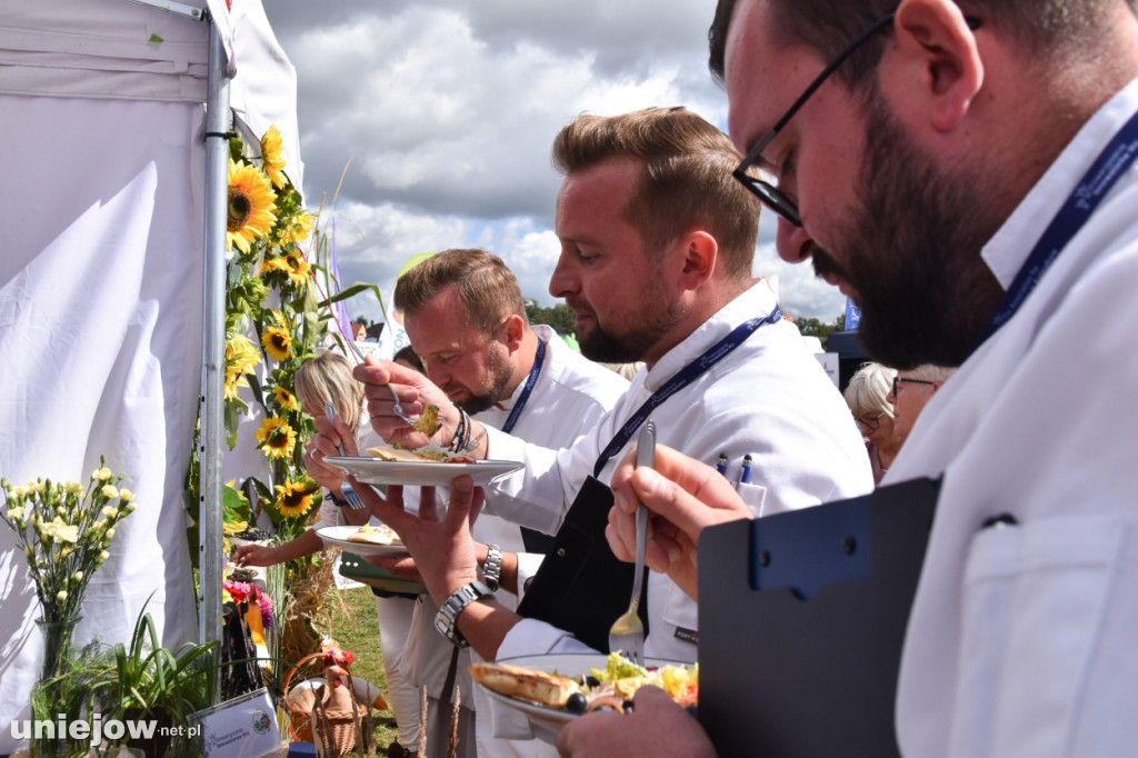 III Festiwal Drobiu trwa w Uniejowie. Degustacje, atrakcje i koncerty [FOTO]