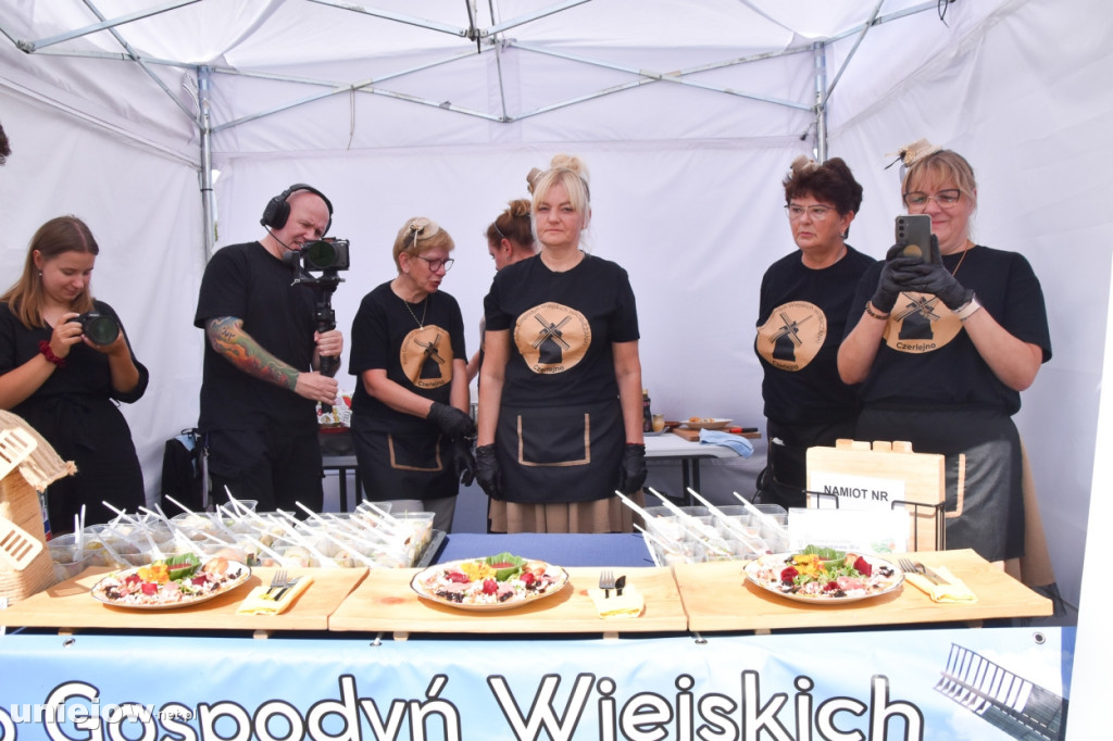 III Festiwal Drobiu trwa w Uniejowie. Degustacje, atrakcje i koncerty [FOTO]