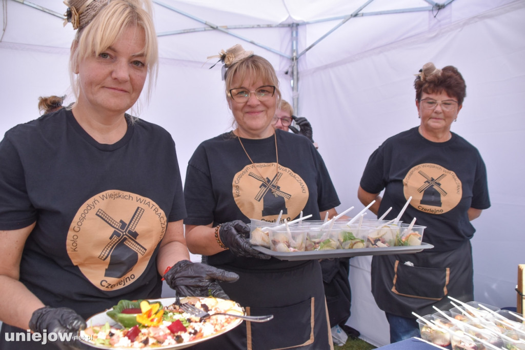 III Festiwal Drobiu trwa w Uniejowie. Degustacje, atrakcje i koncerty [FOTO]