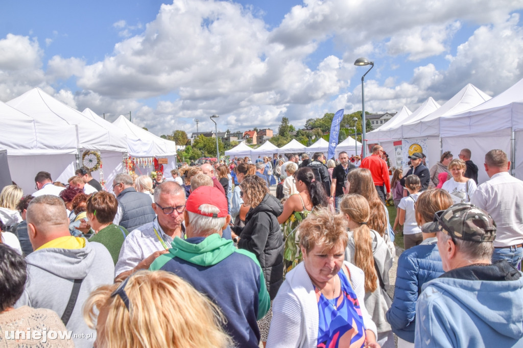III Festiwal Drobiu trwa w Uniejowie. Degustacje, atrakcje i koncerty [FOTO]