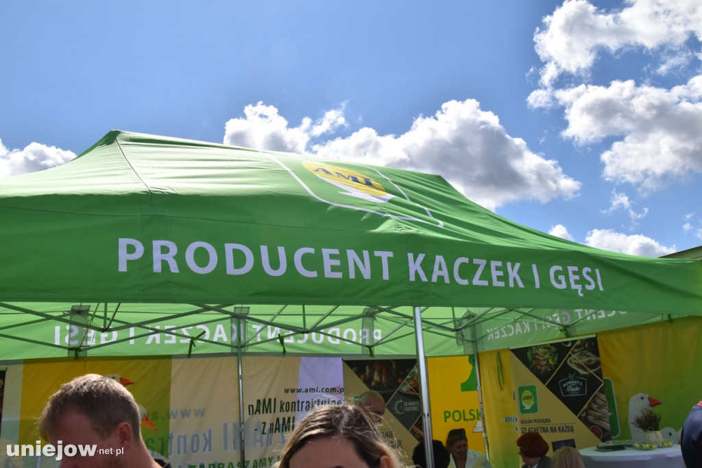 III Festiwal Drobiu trwa w Uniejowie. Degustacje, atrakcje i koncerty [FOTO]