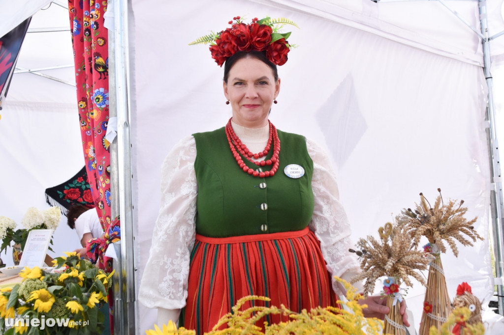 III Festiwal Drobiu trwa w Uniejowie. Degustacje, atrakcje i koncerty [FOTO]