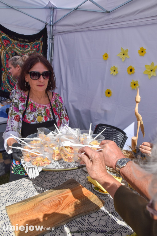 III Festiwal Drobiu trwa w Uniejowie. Degustacje, atrakcje i koncerty [FOTO]