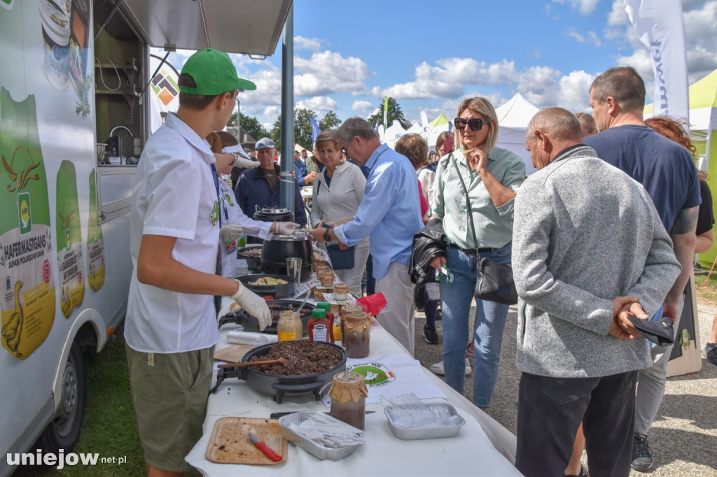 III Festiwal Drobiu trwa w Uniejowie. Degustacje, atrakcje i koncerty [FOTO]