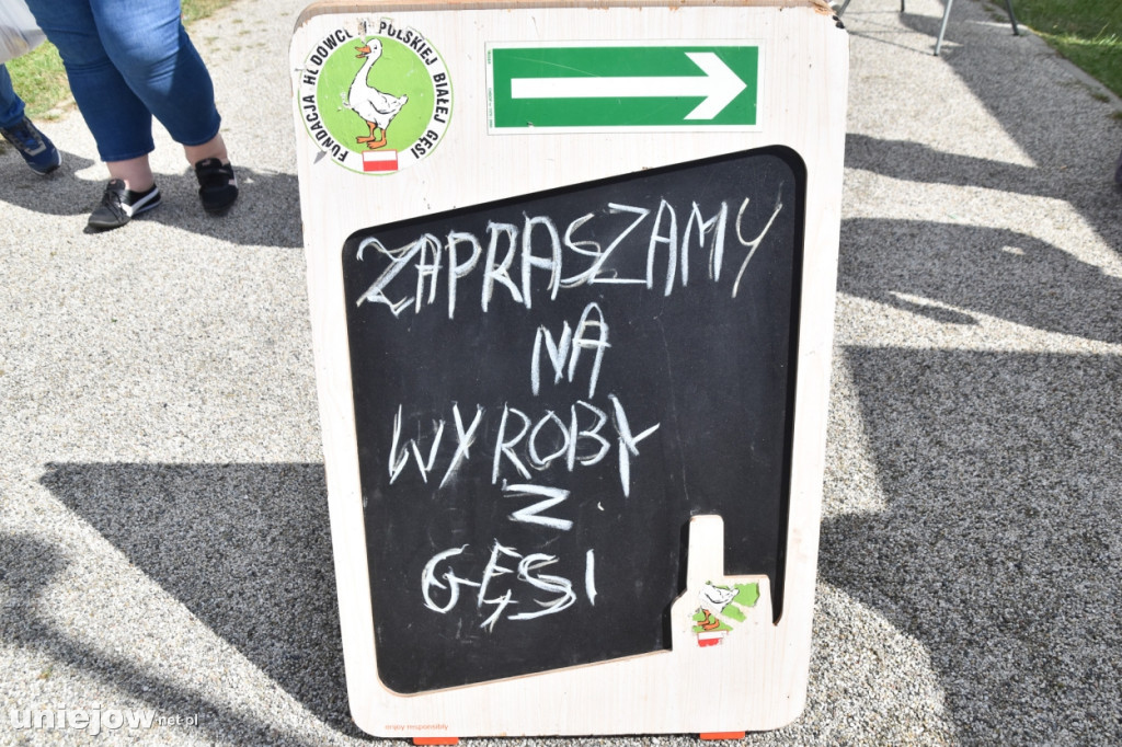 III Festiwal Drobiu trwa w Uniejowie. Degustacje, atrakcje i koncerty [FOTO]