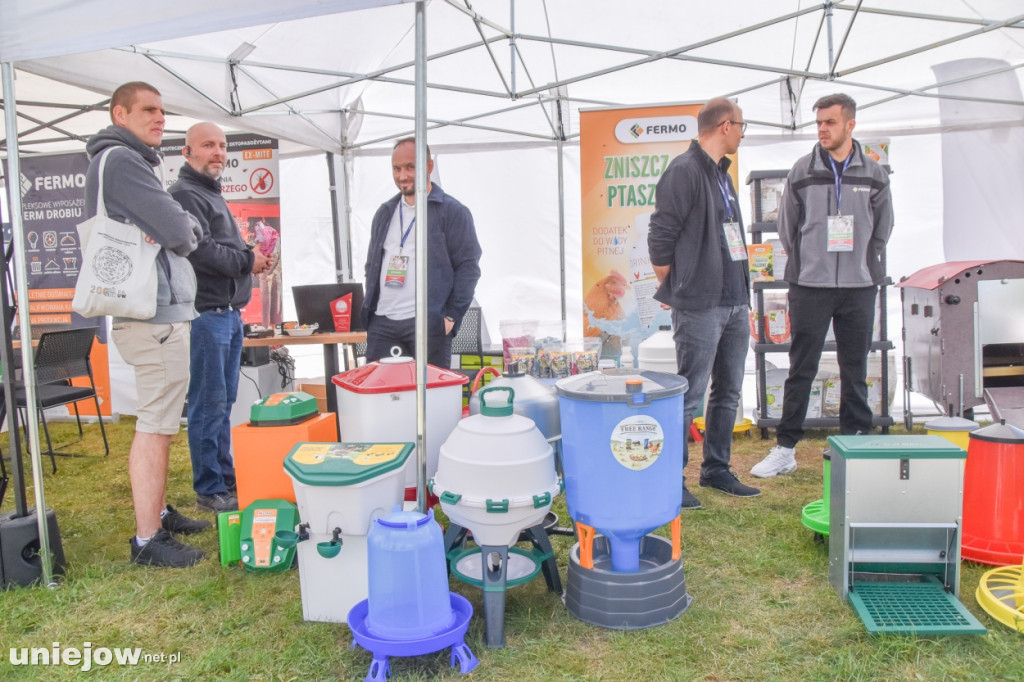 III Festiwal Drobiu trwa w Uniejowie. Degustacje, atrakcje i koncerty [FOTO]