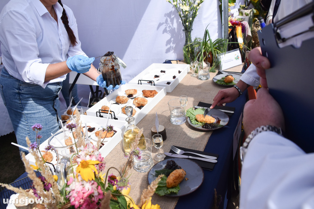 III Festiwal Drobiu trwa w Uniejowie. Degustacje, atrakcje i koncerty [FOTO]