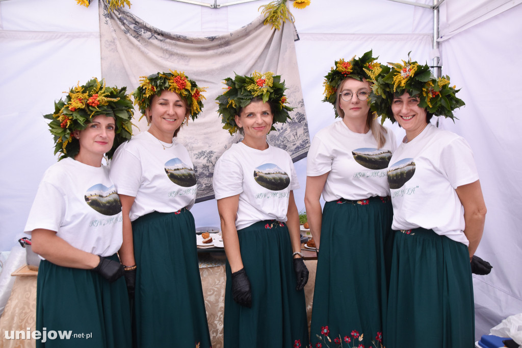 III Festiwal Drobiu trwa w Uniejowie. Degustacje, atrakcje i koncerty [FOTO]