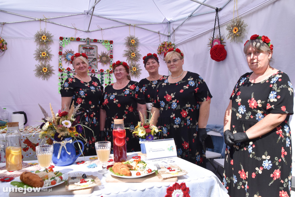 III Festiwal Drobiu trwa w Uniejowie. Degustacje, atrakcje i koncerty [FOTO]