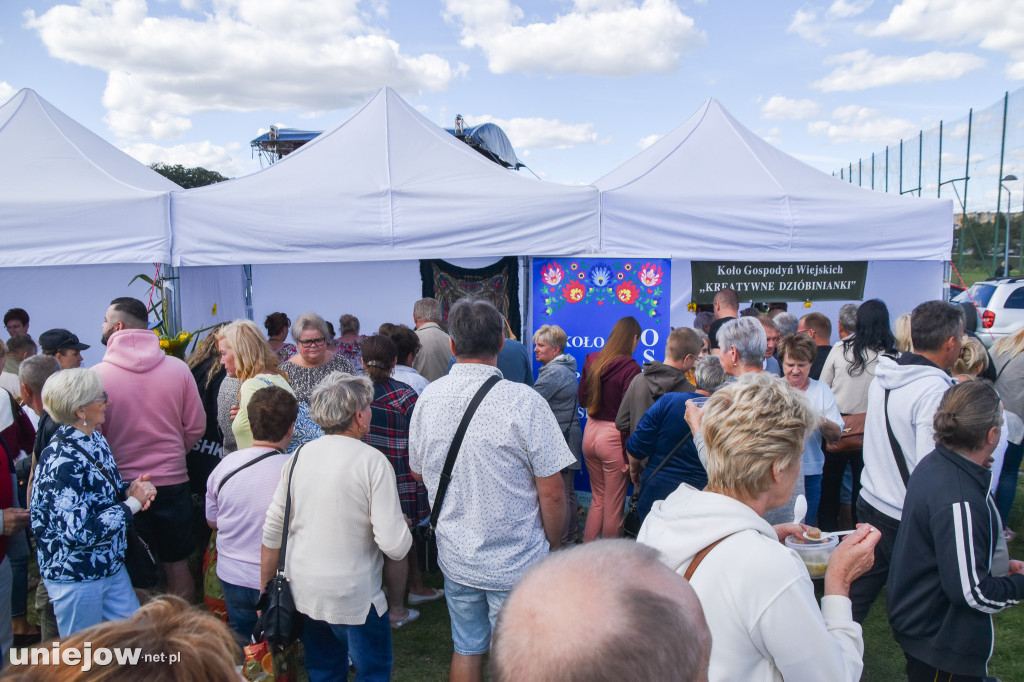 III Festiwal Drobiu trwa w Uniejowie. Degustacje, atrakcje i koncerty [FOTO]