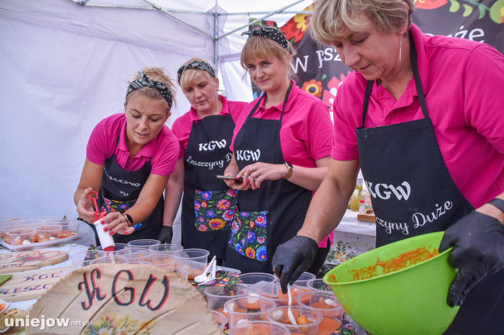 III Festiwal Drobiu trwa w Uniejowie. Degustacje, atrakcje i koncerty [FOTO]