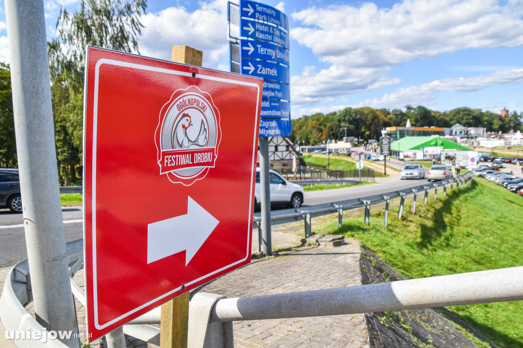 III Festiwal Drobiu trwa w Uniejowie. Degustacje, atrakcje i koncerty [FOTO]