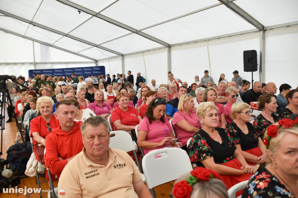III Festiwal Drobiu trwa w Uniejowie. Degustacje, atrakcje i koncerty [FOTO]