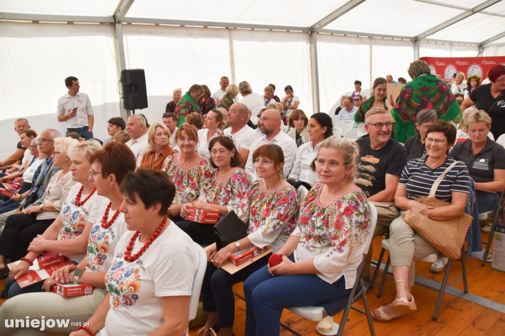 III Festiwal Drobiu trwa w Uniejowie. Degustacje, atrakcje i koncerty [FOTO]