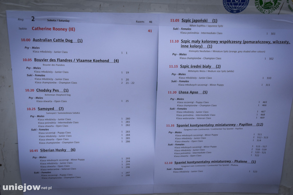 Międzynarodowa wystawa psów w Uniejowie