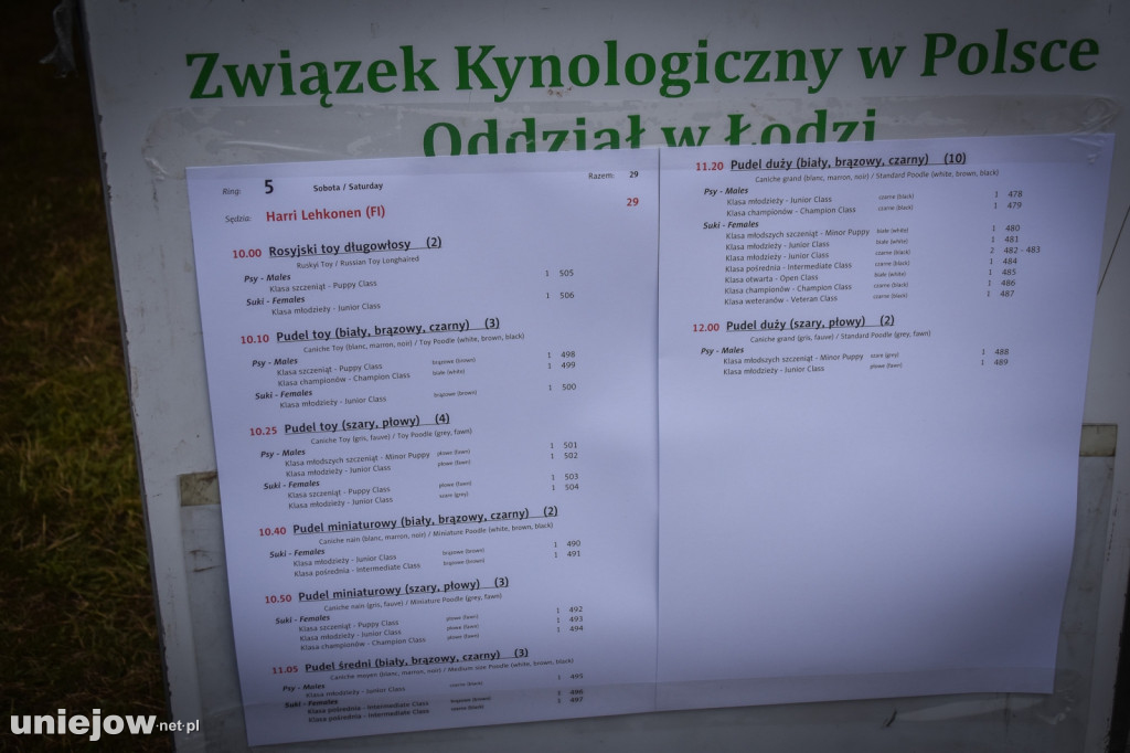 Międzynarodowa wystawa psów w Uniejowie