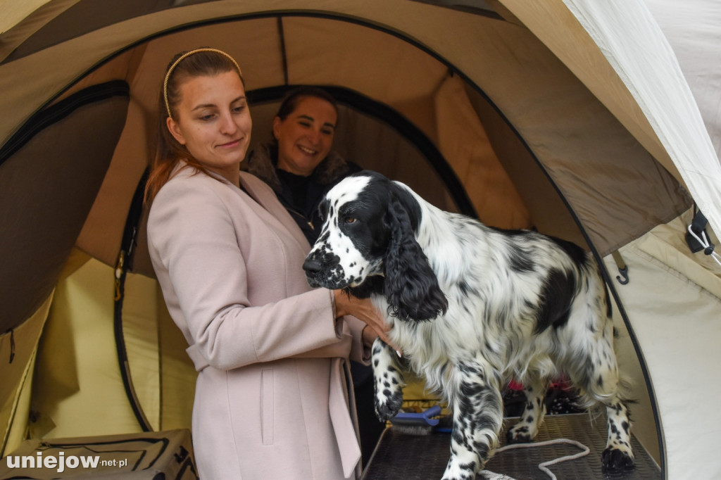Międzynarodowa wystawa psów w Uniejowie