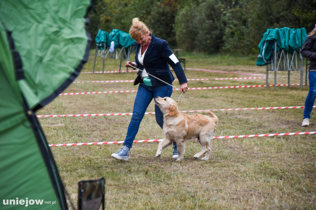Międzynarodowa wystawa psów w Uniejowie