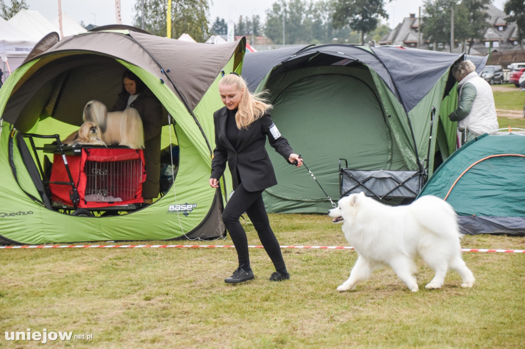 Międzynarodowa wystawa psów w Uniejowie
