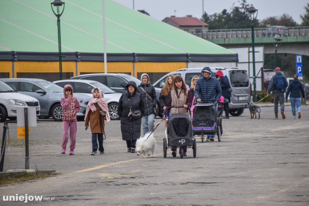 Międzynarodowa wystawa psów w Uniejowie
