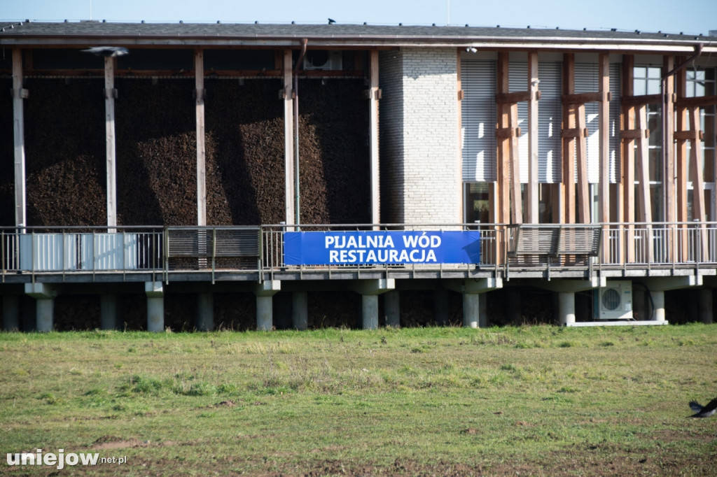 Będą kolejne korty tenisowe w Uniejowie?