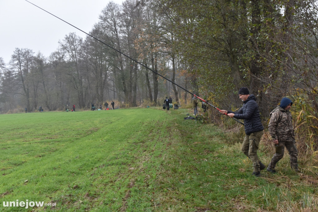 Wędkarze rywalizowali z okazji Święta Niepodległości. Kto najlepszy? [ZDJĘCIA]
