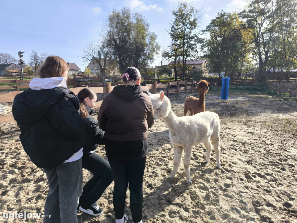 „Razem dla natury i ludzi” – projekt Fundacji Pomerdało mi się zakończony