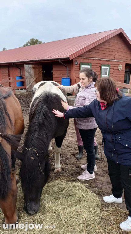 „Razem dla natury i ludzi” – projekt Fundacji Pomerdało mi się zakończony