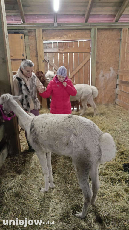 „Razem dla natury i ludzi” – projekt Fundacji Pomerdało mi się zakończony
