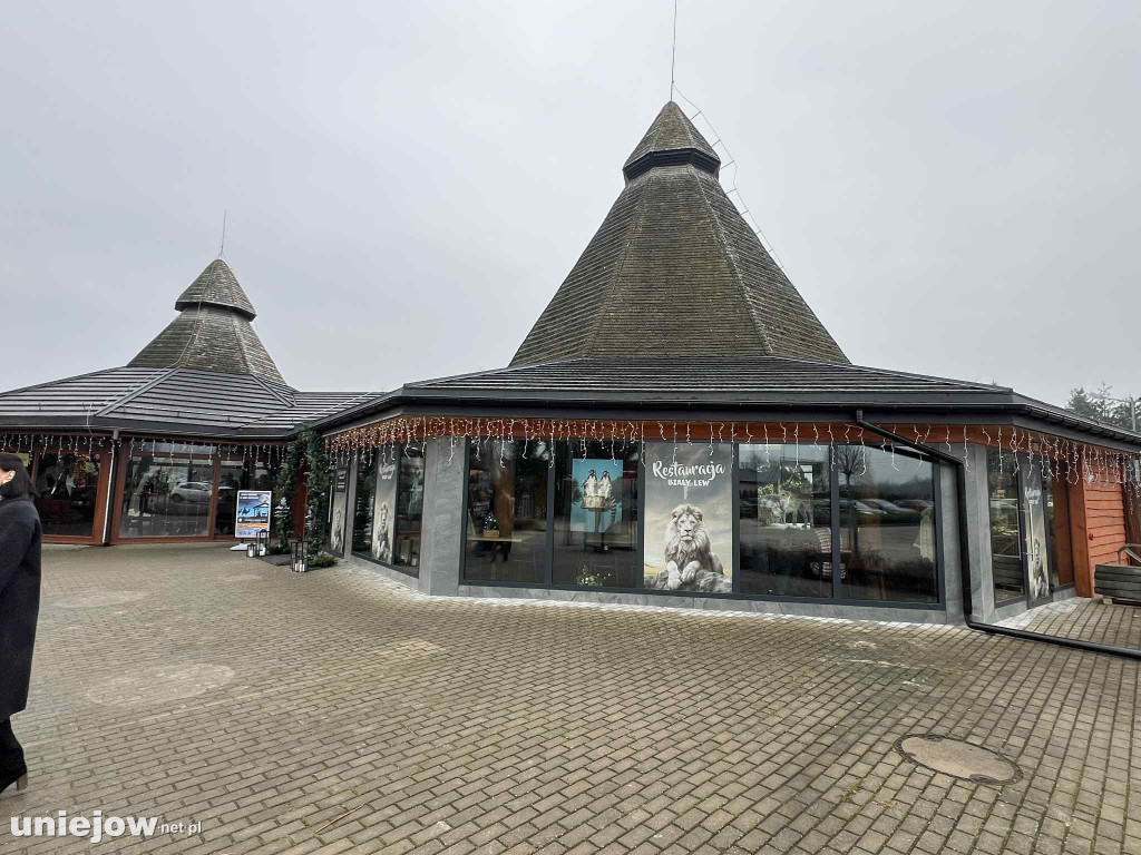 Żywa szopka w Zoo Borysew