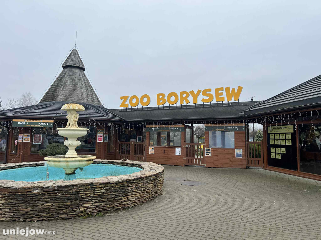 Żywa szopka w Zoo Borysew