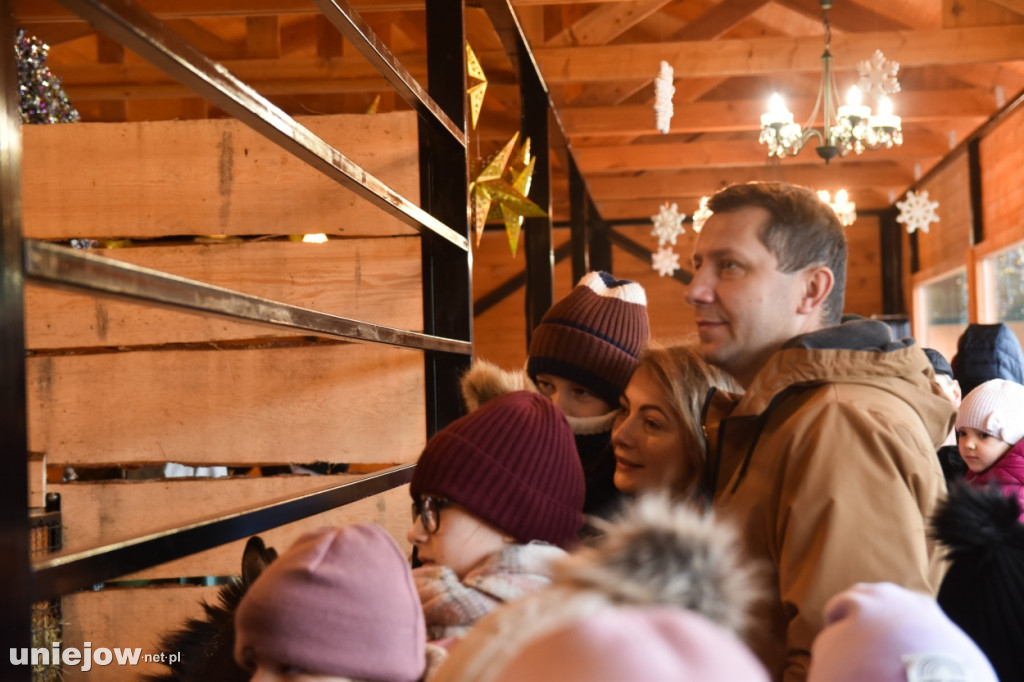 Żywa szopka w Zoo Borysew