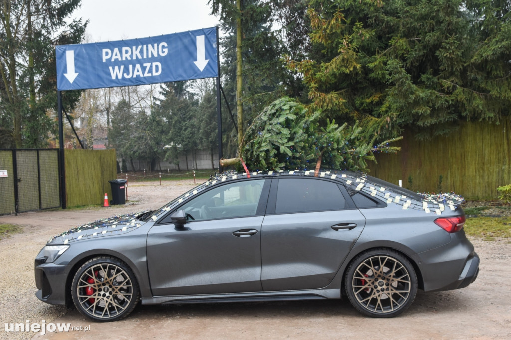 Żywa szopka w Zoo Borysew