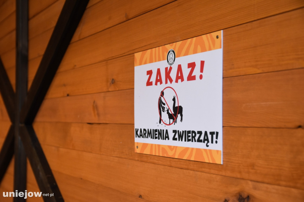 Żywa szopka w Zoo Borysew