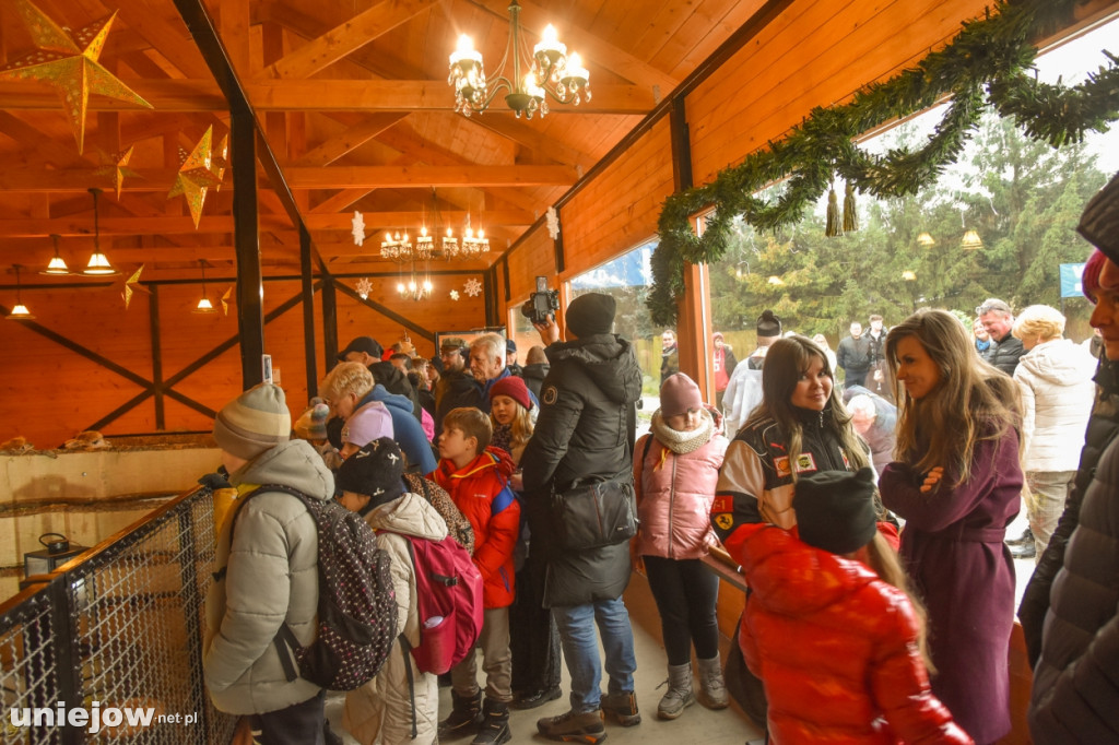 Żywa szopka w Zoo Borysew