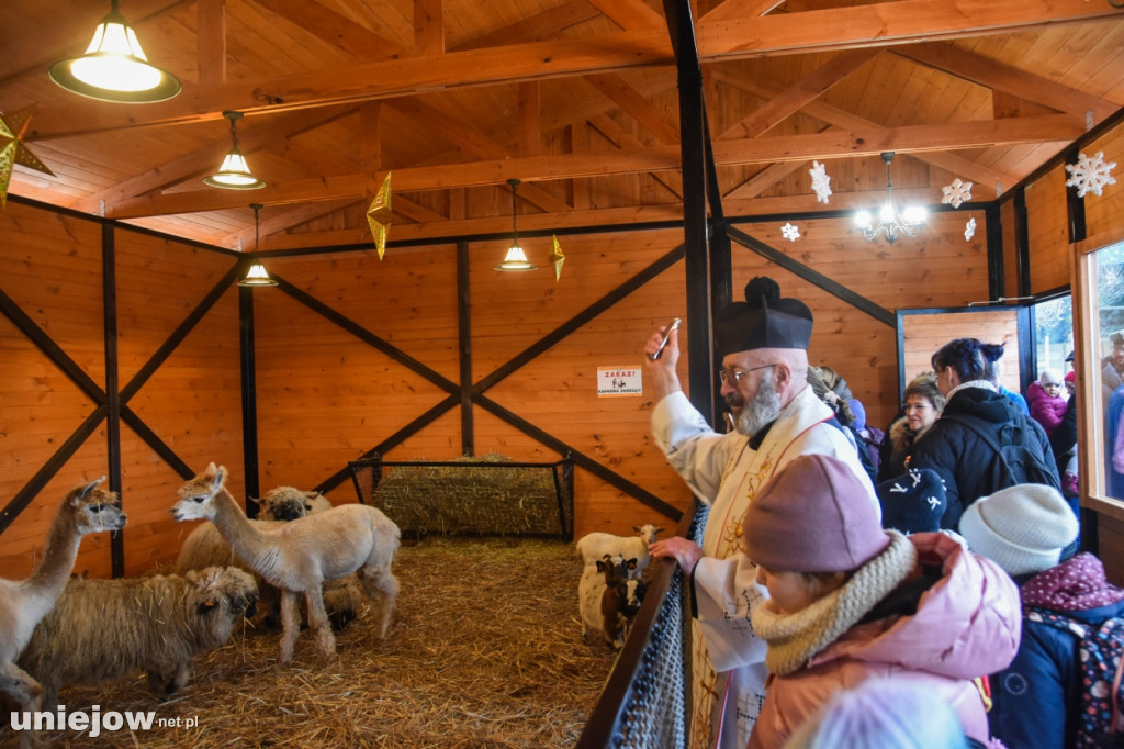 Żywa szopka w Zoo Borysew