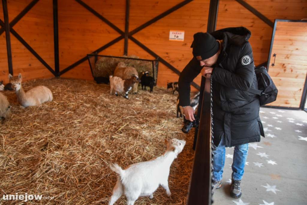 Żywa szopka w Zoo Borysew