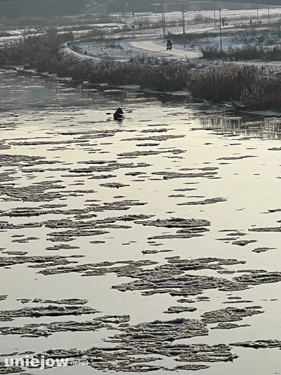 Płynie zimą kajakiem, by zebrać pieniądze