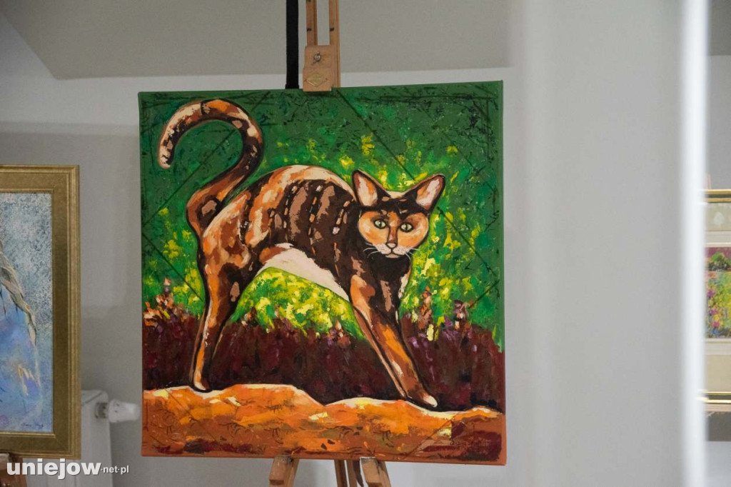 Stąd i stamtąd. Polipowska i Opara-Stacholec