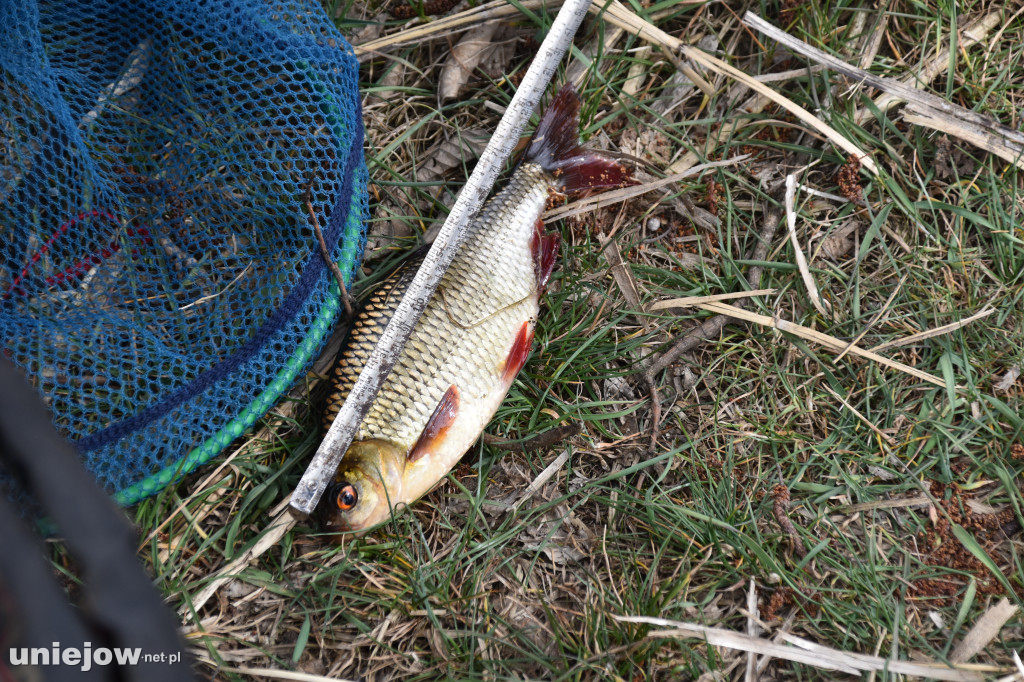 Turniej wędkarski Wiosna 2026