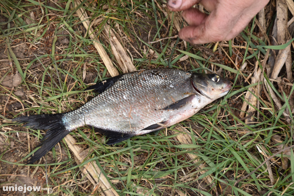 Turniej wędkarski Wiosna 2026