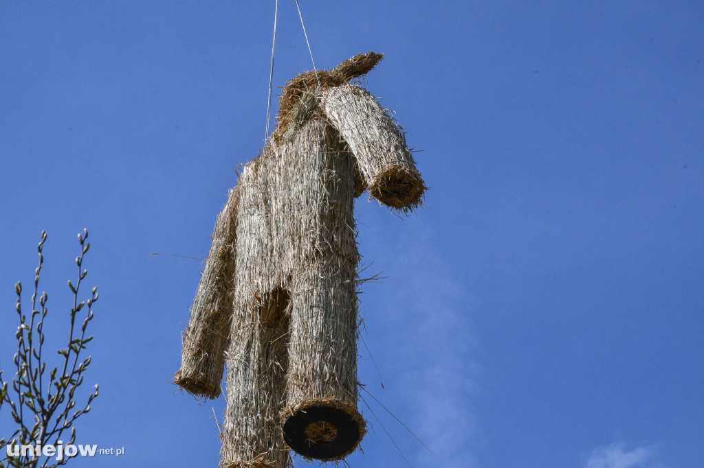 Klasyki zjechały do Browaru