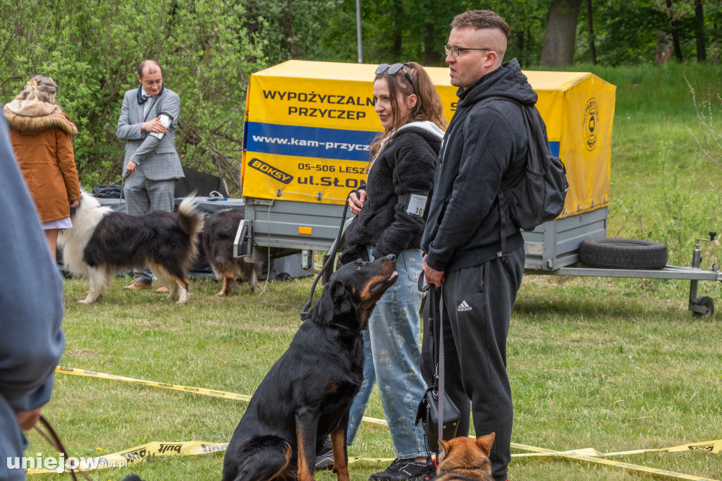 32. Międzynarodowa Wystawa Psów Rasowych w Uniejowie.