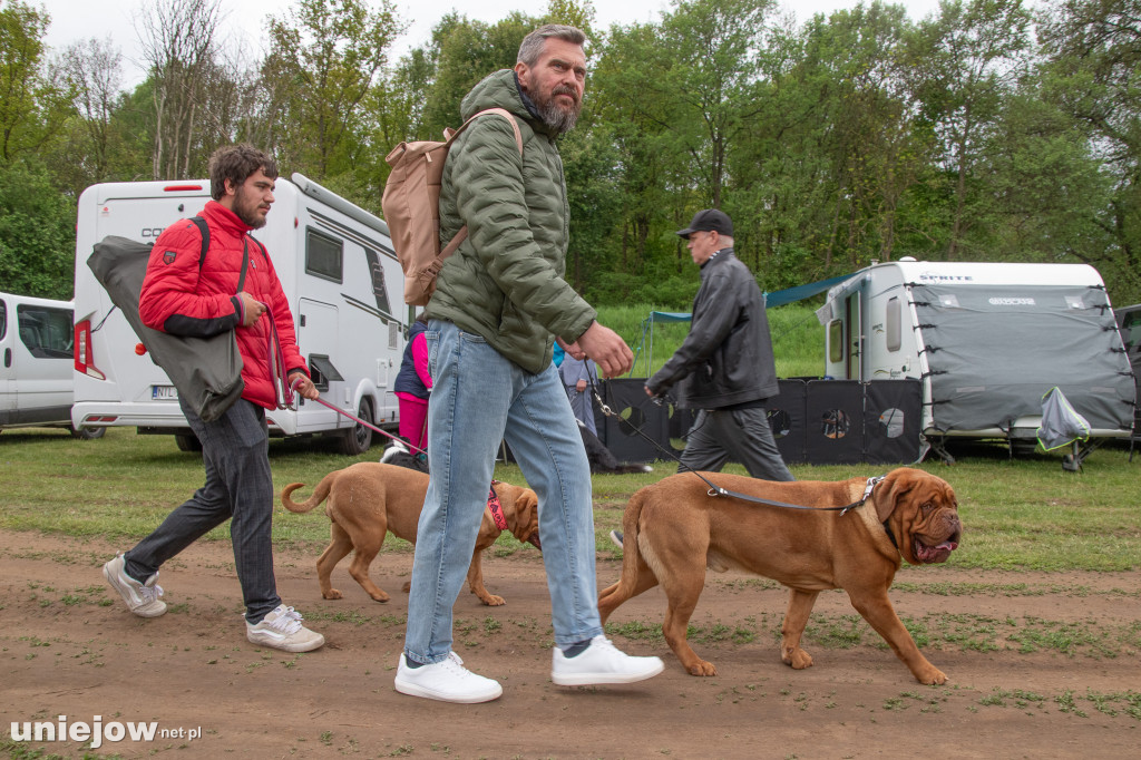 32. Międzynarodowa Wystawa Psów Rasowych w Uniejowie.