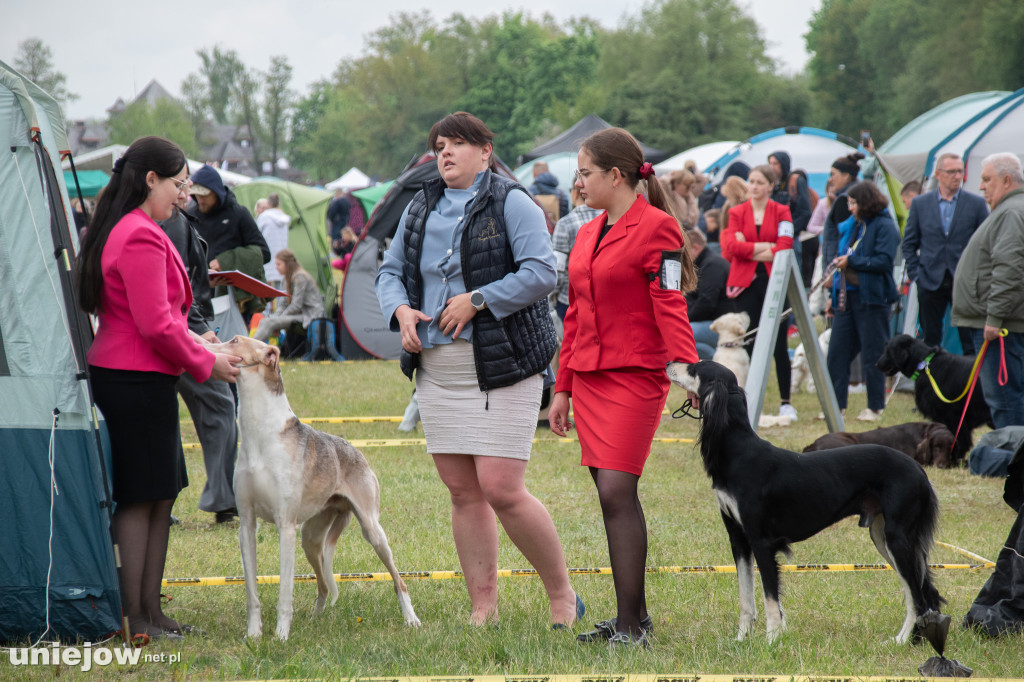 32. Międzynarodowa Wystawa Psów Rasowych w Uniejowie.
